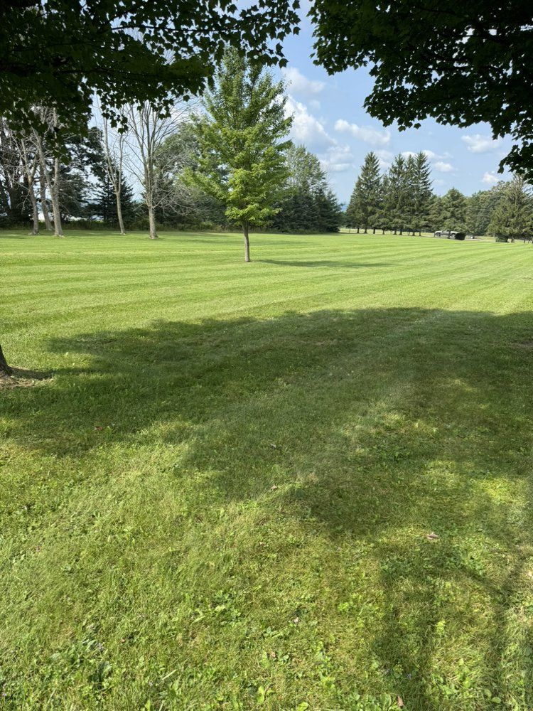 Mowing weed eating mulch fall clean ups gutter cleaning